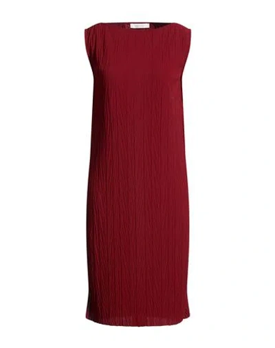 Max Mara Woman Midi Dress Burgundy Size Xl Polyester