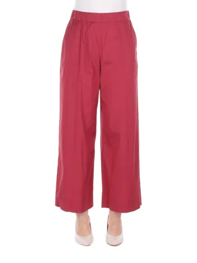 Max Mara Woman Pantalone 2616131019600 012 Bch Pece Geranium In Other