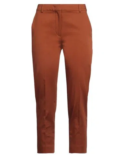 Max Mara Woman Pants Brown Size 6 Cotton, Elastane