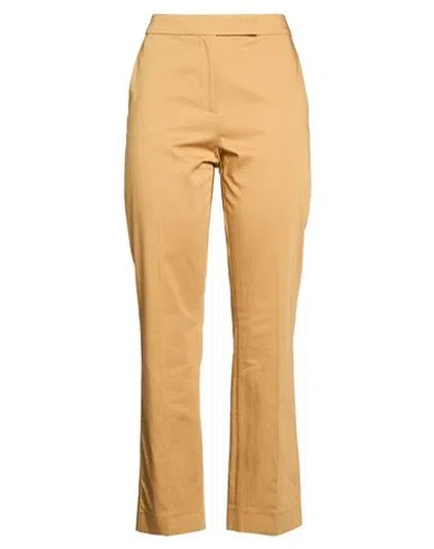 Max Mara Woman Pants Camel Size 10 Cotton, Elastane In Orange