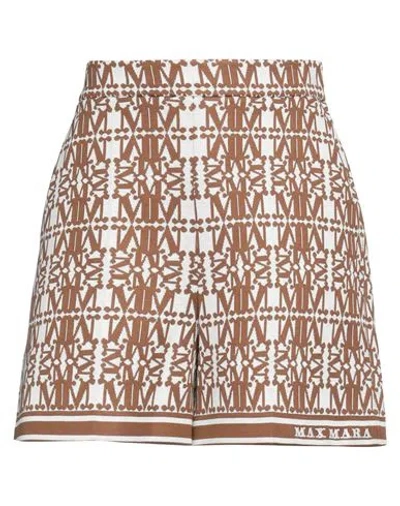 Max Mara Woman Shorts & Bermuda Shorts Brown Size 0 Cotton, Polyamide