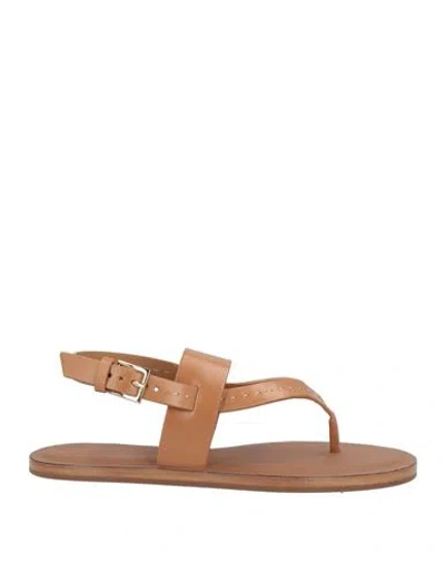 Max Mara Woman Thong Sandal Camel Size 6 Leather In Brown