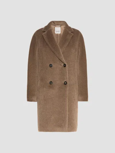 Max Mara Women's Alpaca And Wool Midi Coat In Honey