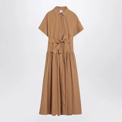 Max Mara Agoraio Midi Shirt Dress In Caramel