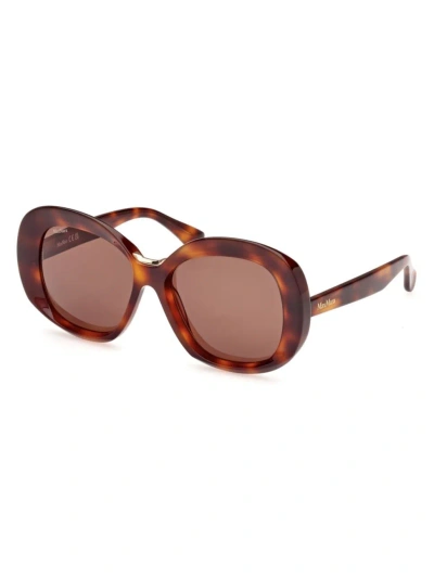 Max Mara Women's Dark Havana Edna Oversized Round Sunglasses In Brown