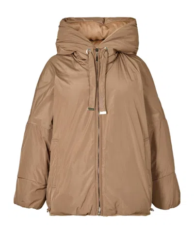 Max Mara Women's Desiderio Shorts Puffer Jacket In Brown