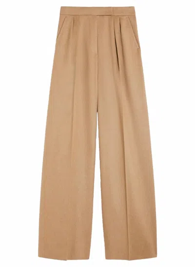 Max Mara Women's Fagus Wool Pleated Full Leg Pant In Camel In Brown