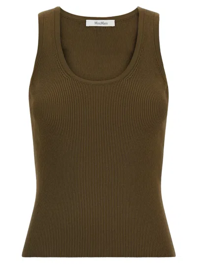 Max Mara Slim Fit Ribbed Cotton Knit U-neck Top In Green