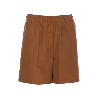 Max Mara Women Haway Short In Cotton Poplin