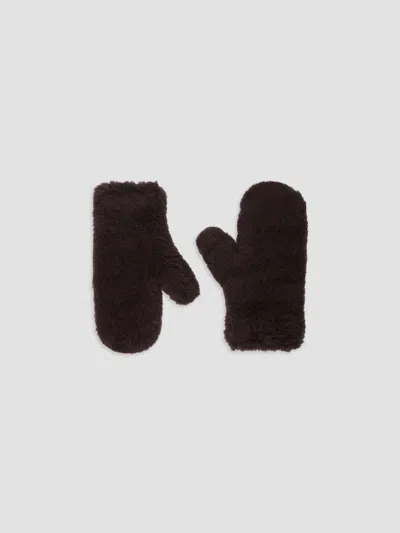 Max Mara Women's Mittens In Alpaca And Wool Teddy Fabric In Brown