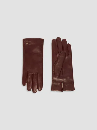 Max Mara Women's Nappa Leather Gloves In Bordeaux
