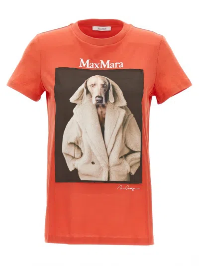 MAX MARA WOMEN ORANGE VALIDO T-SHIRT, M LUXURY T-SHIRTS FOR WOMEN DARVEYS