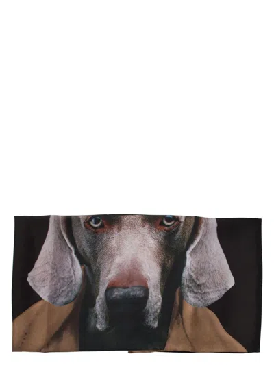 MAX MARA WOMEN'S PRINTED SILK SCARF