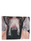Max Mara Women's Printed Silk Scarf