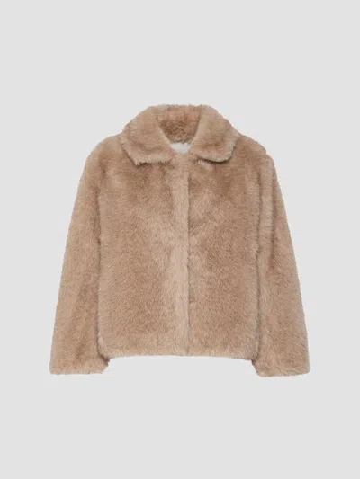 Max Mara Women's Soft Textured Short Coat In Honey