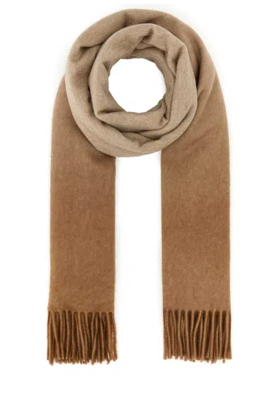 Max Mara Women Two-tone Cashmere Wscala Scarf In Brown