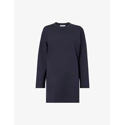 Max Mara Martina Mini Dress In Blue