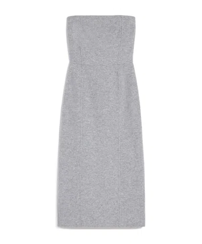 Max Mara Wool And Cashmere Bustier Dress In Gray