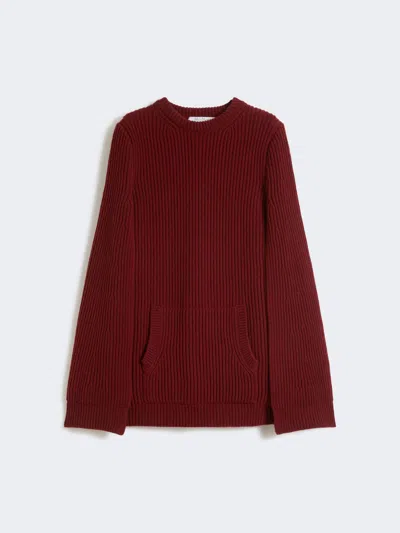 Max Mara Wool And Cashmere Cape Dress In Red