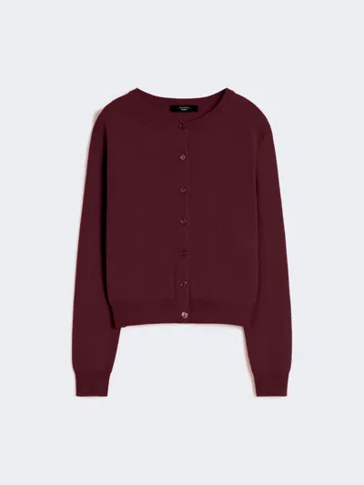 Max Mara Wool And Cashmere Cardigan In Burgundy