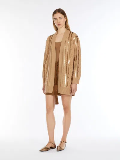 Max Mara Wool And Cashmere Cardigan With Sequins In Brown