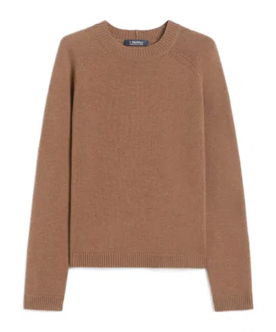 Max Mara Wool And Cashmere Crewneck Sweater In Brown
