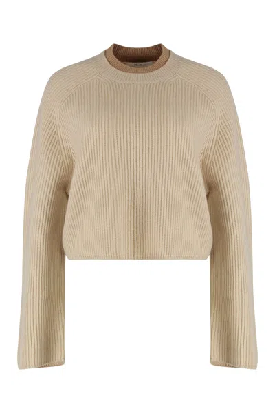Max Mara Wool And Cashmere Jersey With A Ribbed Knit In Neutral