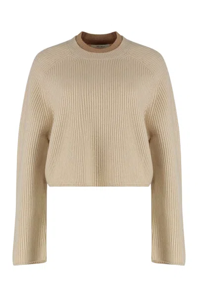 Max Mara Wool And Cashmere Jersey With A Ribbed Knit In Neutral