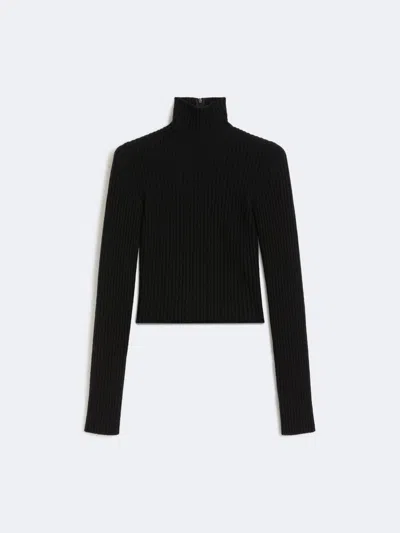 Max Mara Wool And Cashmere Ribbed Turtleneck In Black