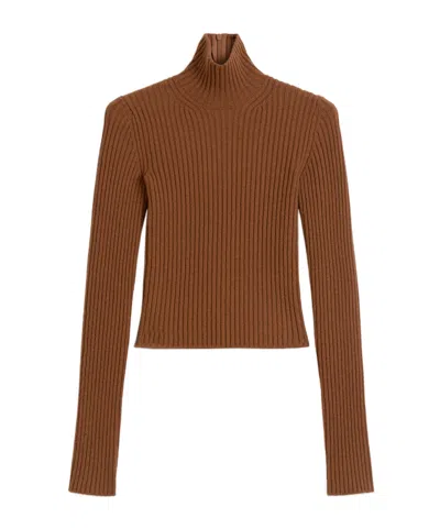 Max Mara Wool And Cashmere Ribbed Turtleneck In Brown