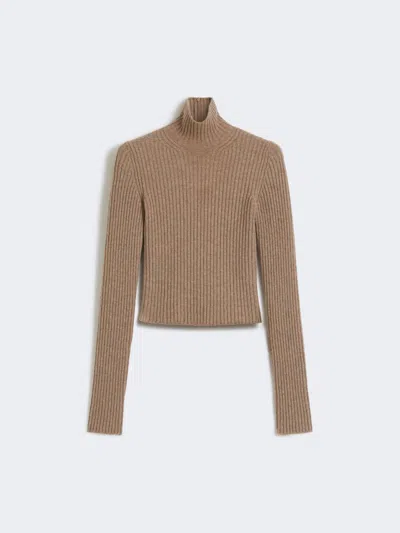 Max Mara Wool And Cashmere Ribbed Turtleneck In Brown