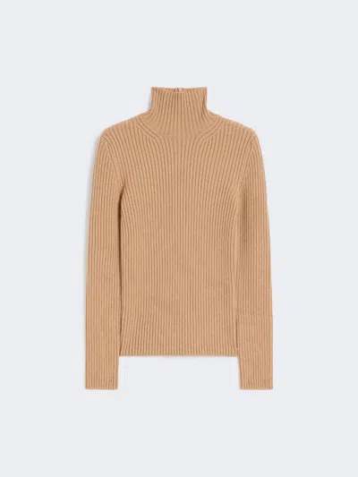 Max Mara Wool And Cashmere Ribbed Turtleneck In Nude