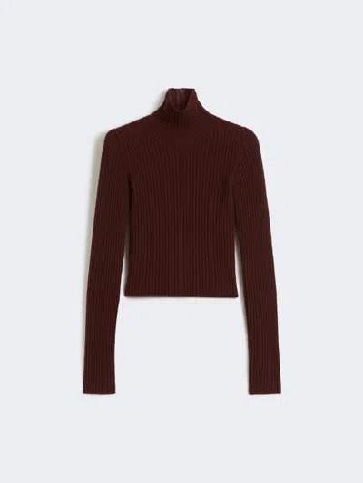 Max Mara Wool And Cashmere Ribbed Turtleneck In Burgundy