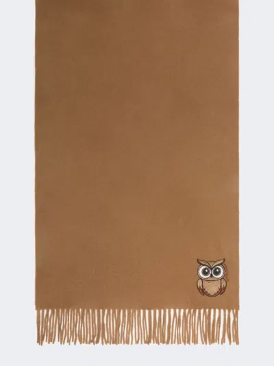 Max Mara Wool And Cashmere Stole In Brown