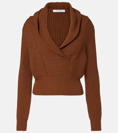 Max Mara Wool And Cashmere Sweater In Brown