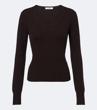Max Mara Wool And Cashmere Sweater In Brown