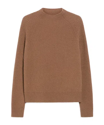 Max Mara Wool And Cashmere Sweaters In Brown