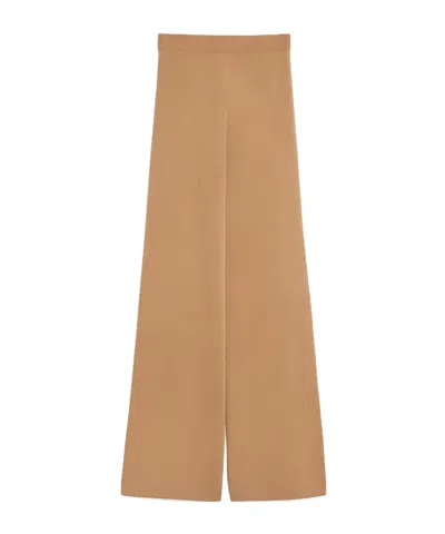 Max Mara Wool And Cashmere Trousers In Brown