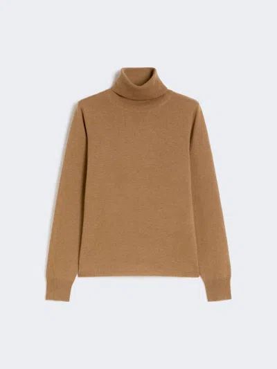 Max Mara Wool And Cashmere Turtleneck Sweater In Brown
