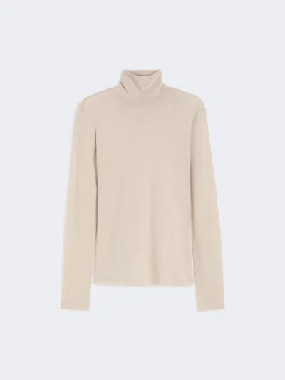 Max Mara Wool And Silk Gauze Turtleneck In Neutral