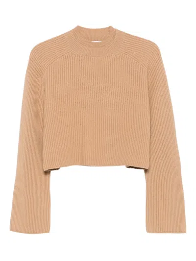 Max Mara Crew Neck Cropped Ribbed Long Sleeve Top In Brown