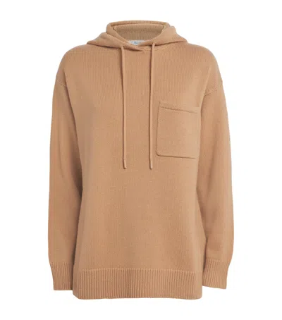 Max Mara Wool-cashmere Hoodie In Multi