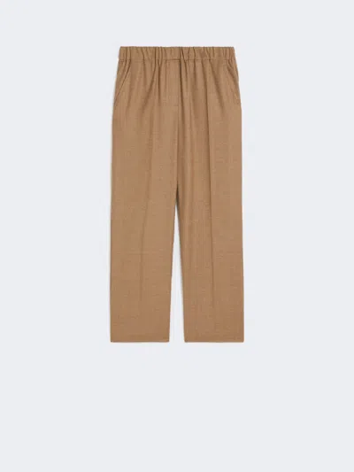 Max Mara Wool Flannel Trousers In Brown