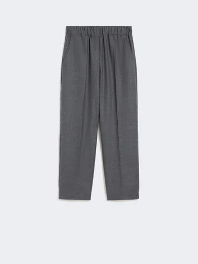 Max Mara Wool Flannel Trousers In Gray