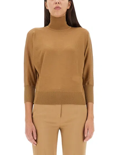 Max Mara Wool Jersey. In Brown