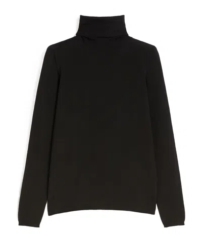 MAX MARA MAX MARA SALUTO TURTLENECK LONG-SLEEVED JUMPER