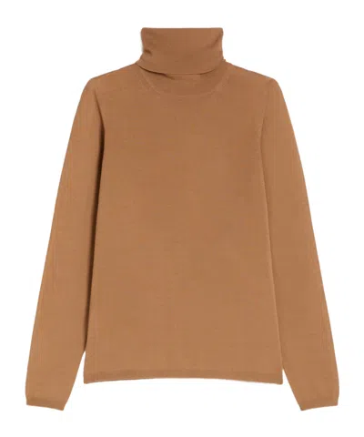 Max Mara Wool Knit Turtleneck Jumper In Brown