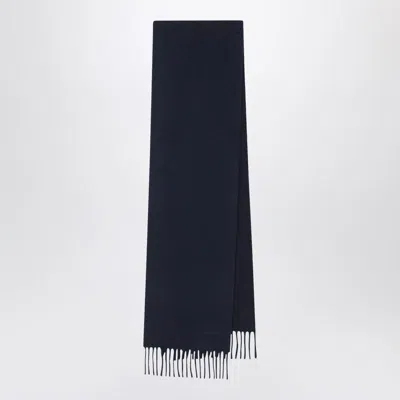 Max Mara Wool Scarf In In Blue