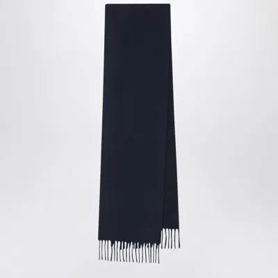 Max Mara Wool Scarf In Blue