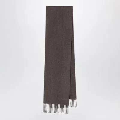 Max Mara Wool Scarf In Dove Grey In Gray
